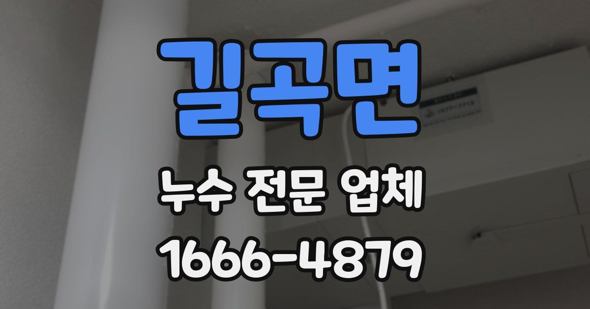 길곡면 누수 전문 업체