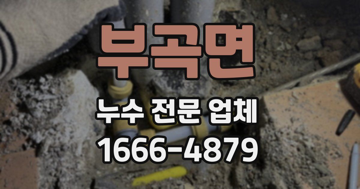 부곡면 누수 전문 업체