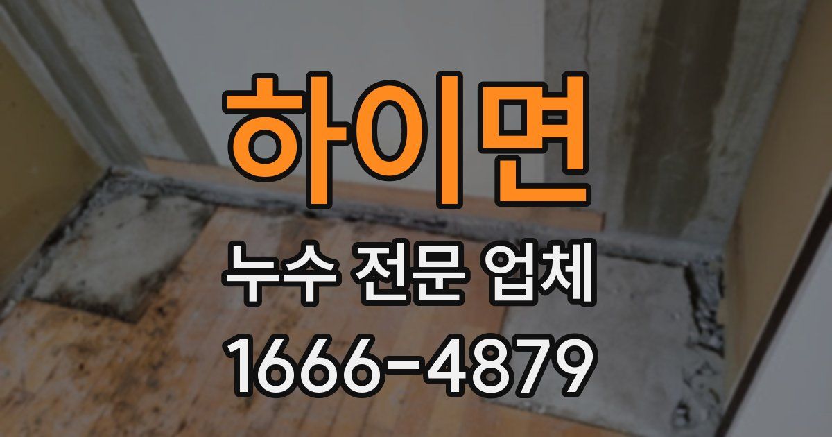 하이면 누수 전문 업체