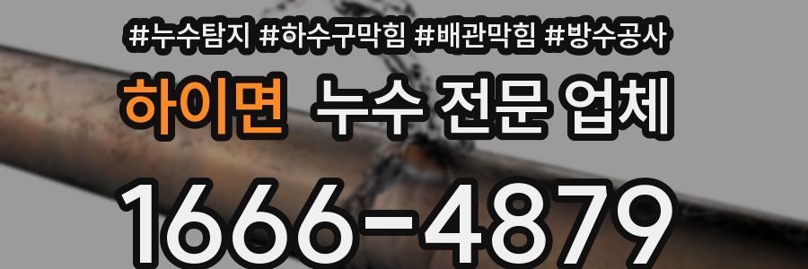 하이면 누수 전문 업체