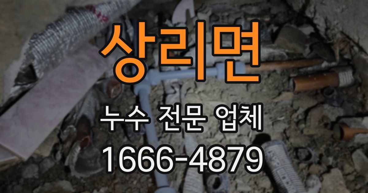 상리면 누수 전문 업체