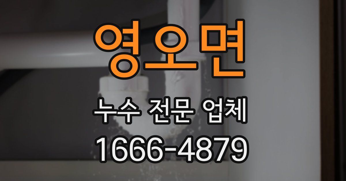영오면 누수 전문 업체