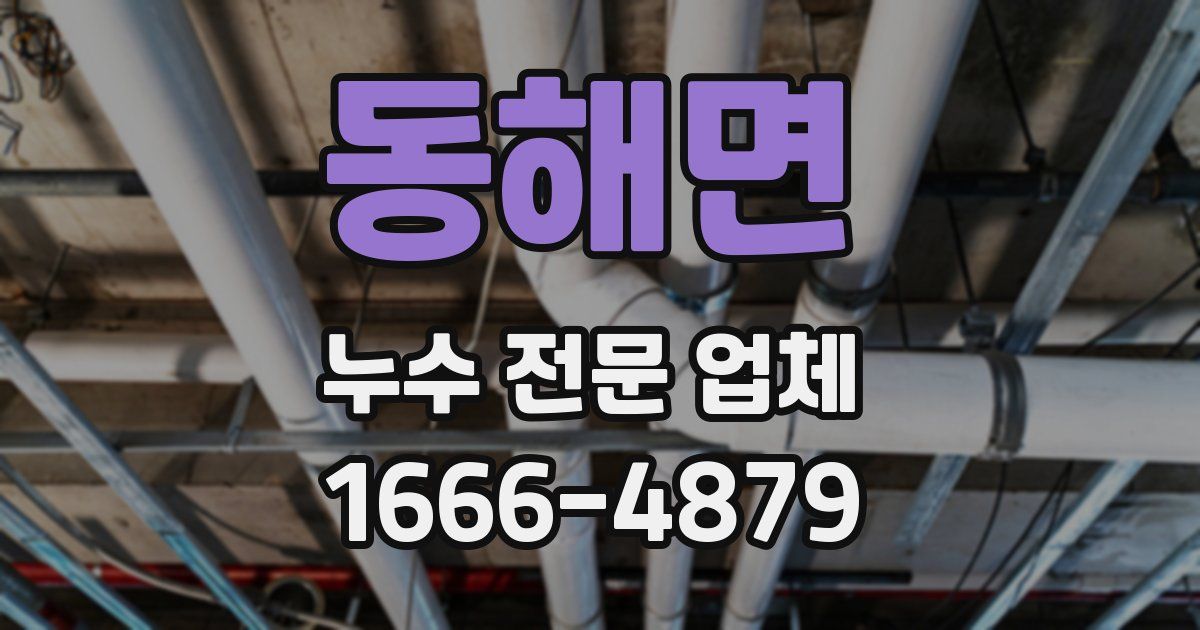 동해면 누수 전문 업체