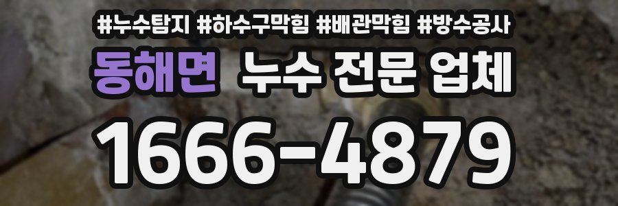 동해면 누수 전문 업체