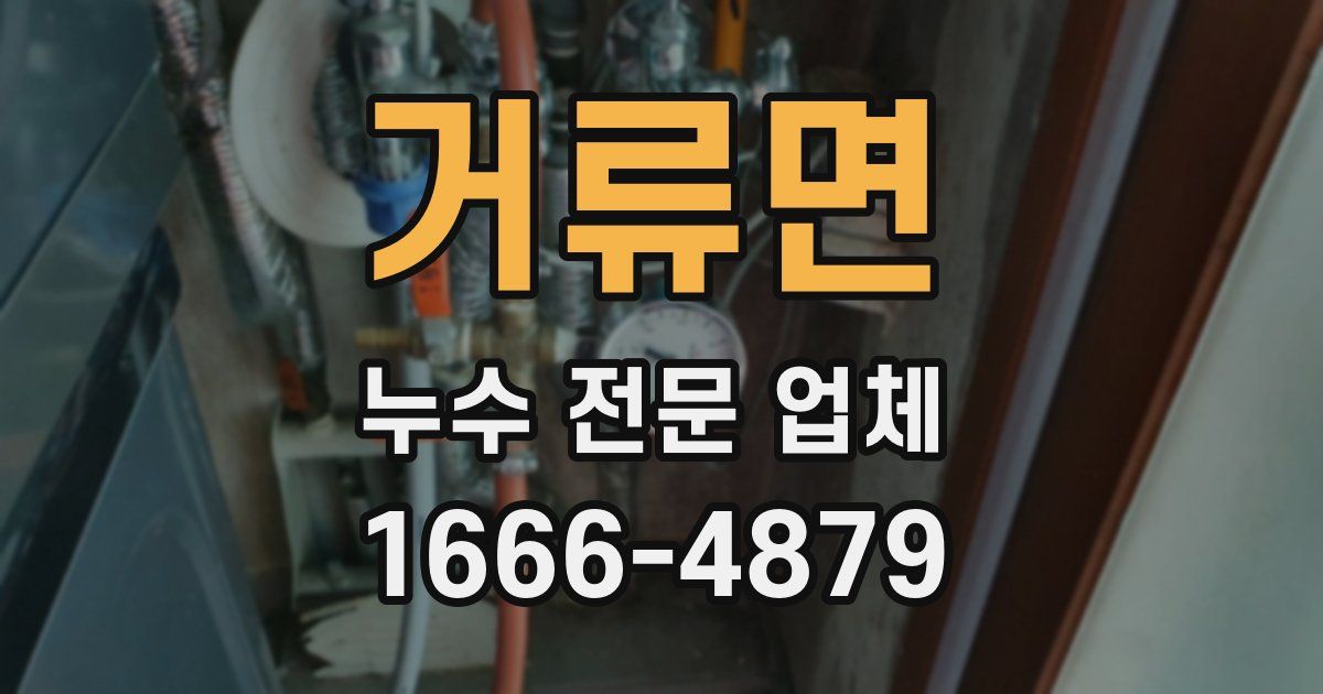 거류면 누수 전문 업체