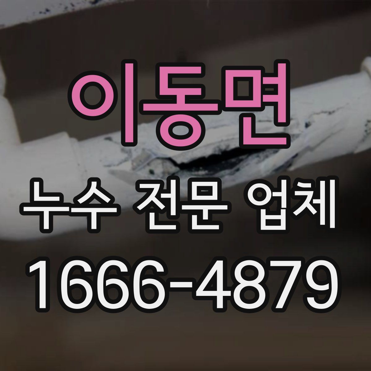 이동면 누수 전문 업체