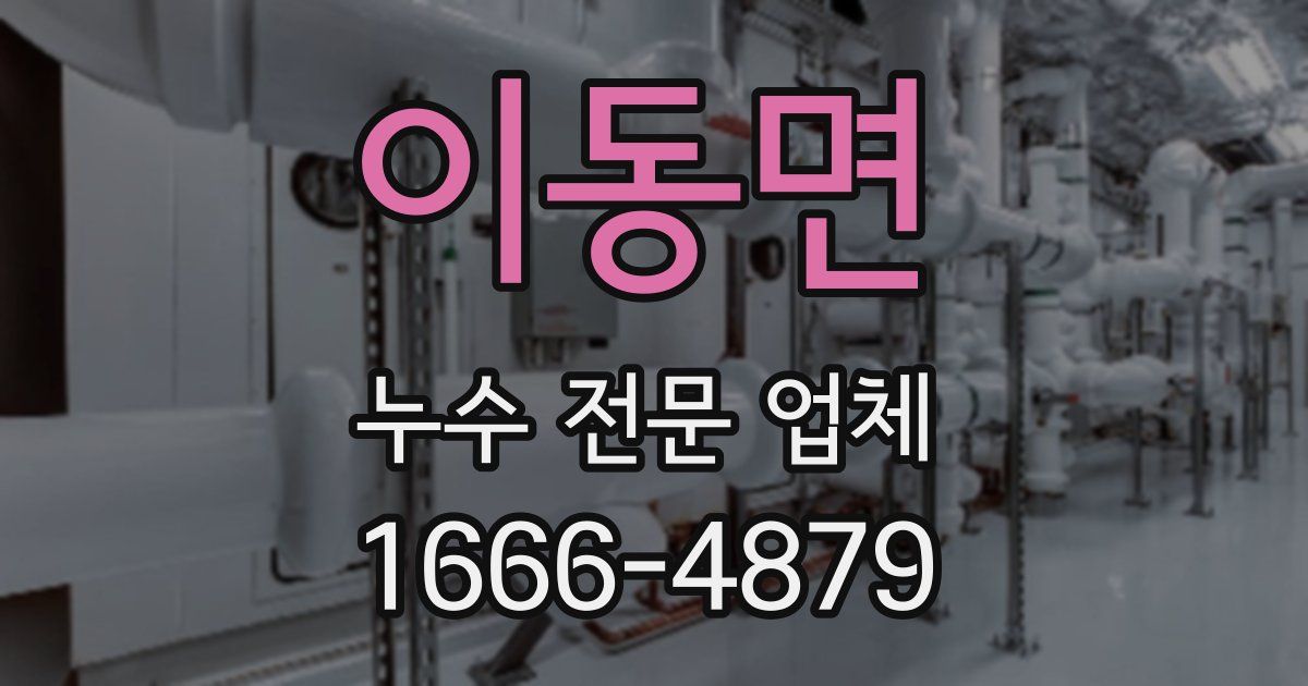 이동면 누수 전문 업체