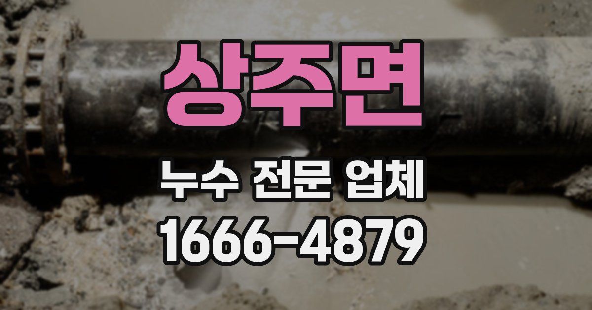 상주면 누수 전문 업체