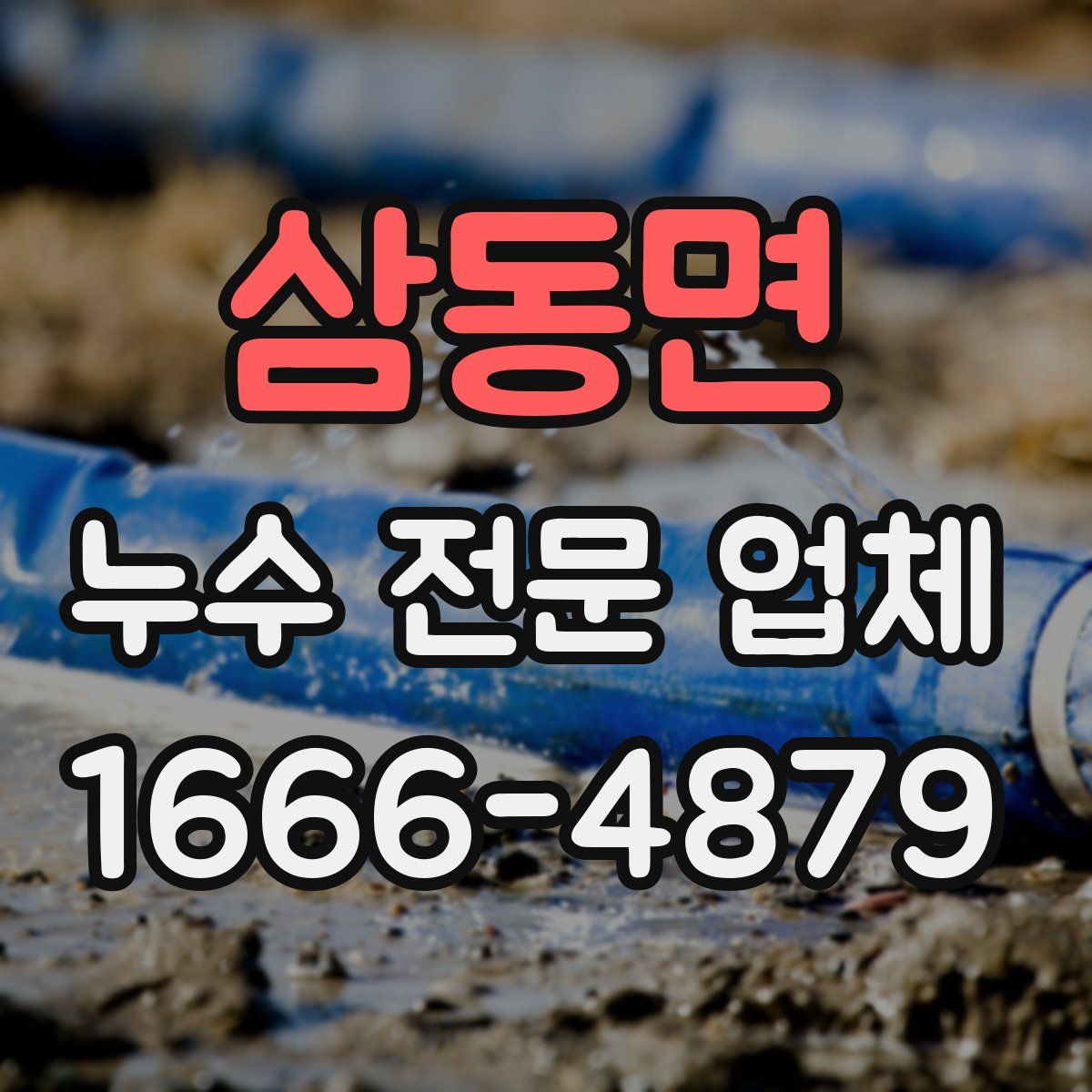 삼동면 누수 전문 업체