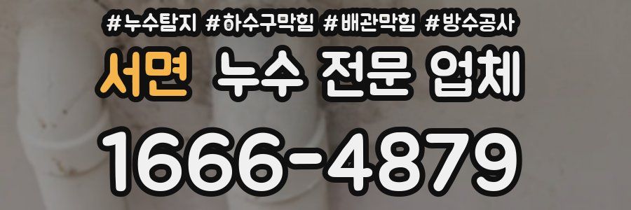 서면 누수 전문 업체