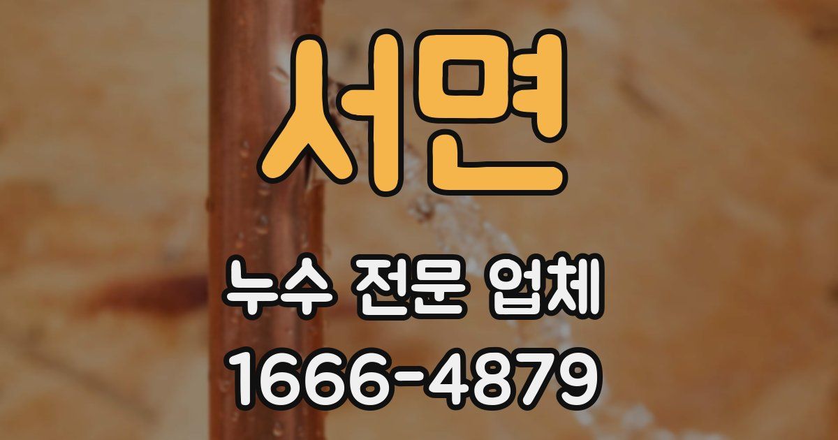 서면 누수 전문 업체
