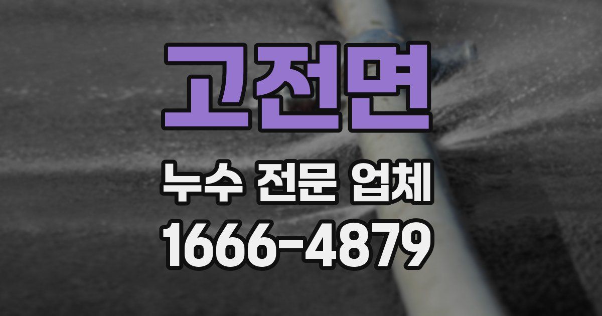 고전면 누수 전문 업체