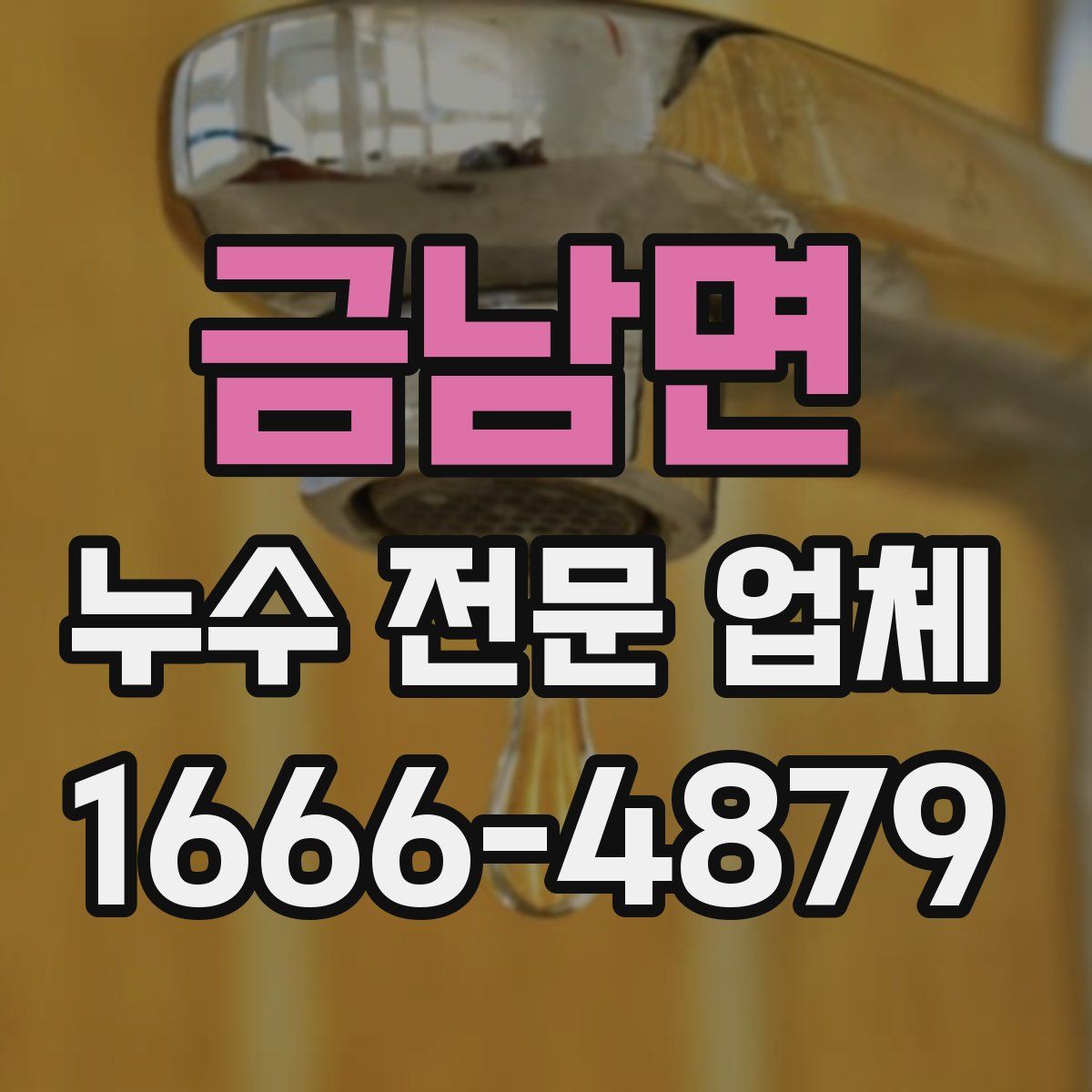 금남면 누수 전문 업체