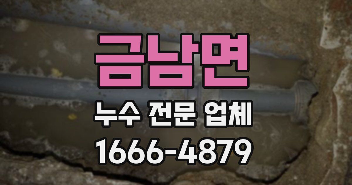 금남면 누수 전문 업체