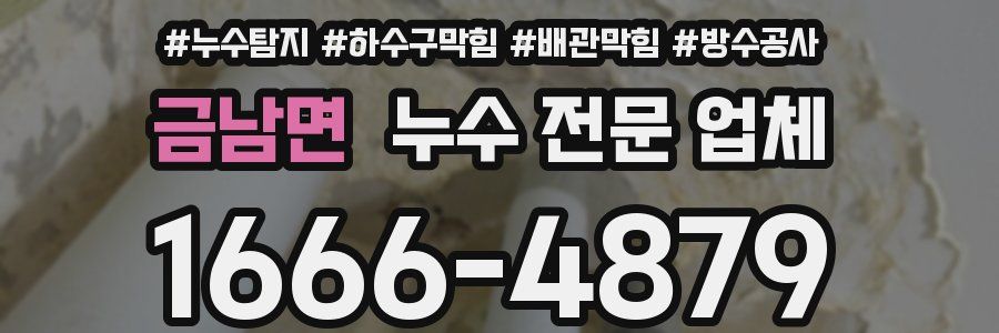 금남면 누수 전문 업체