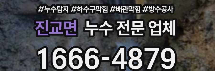 진교면 누수 전문 업체