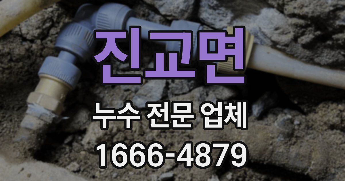 진교면 누수 전문 업체