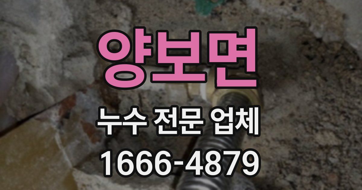양보면 누수 전문 업체