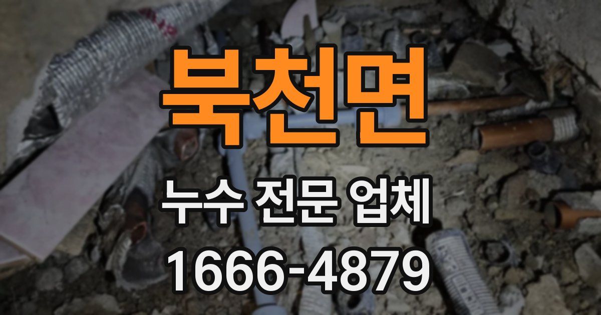 북천면 누수 전문 업체
