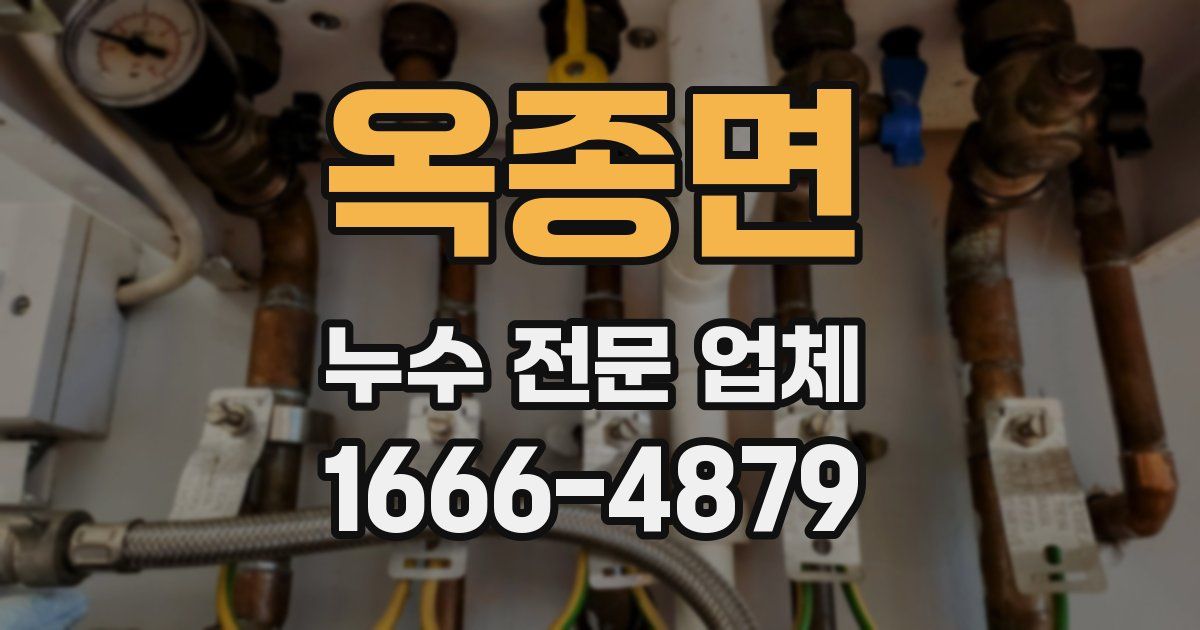 옥종면 누수 전문 업체
