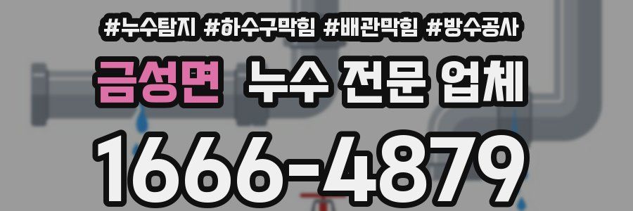 금성면 누수 전문 업체