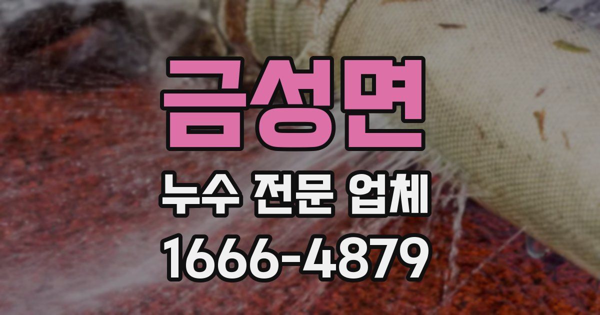 금성면 누수 전문 업체