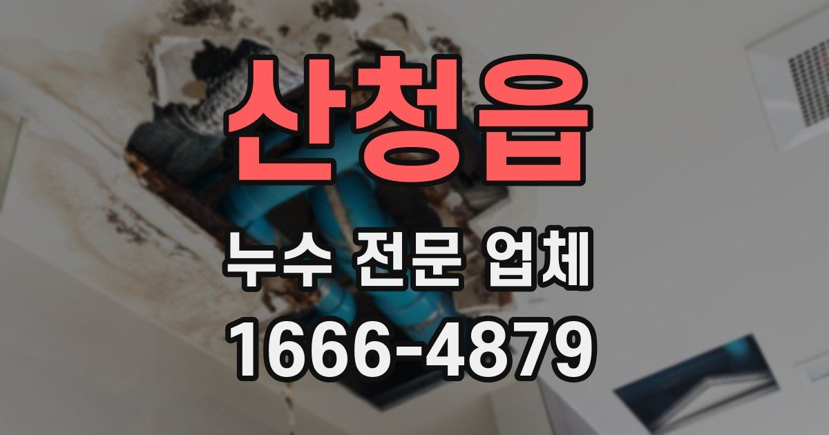 산청읍 누수 전문 업체