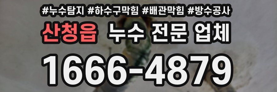 산청읍 누수 전문 업체