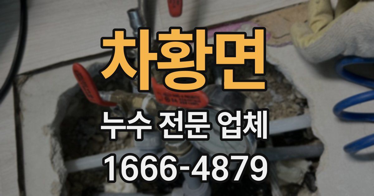 차황면 누수 전문 업체