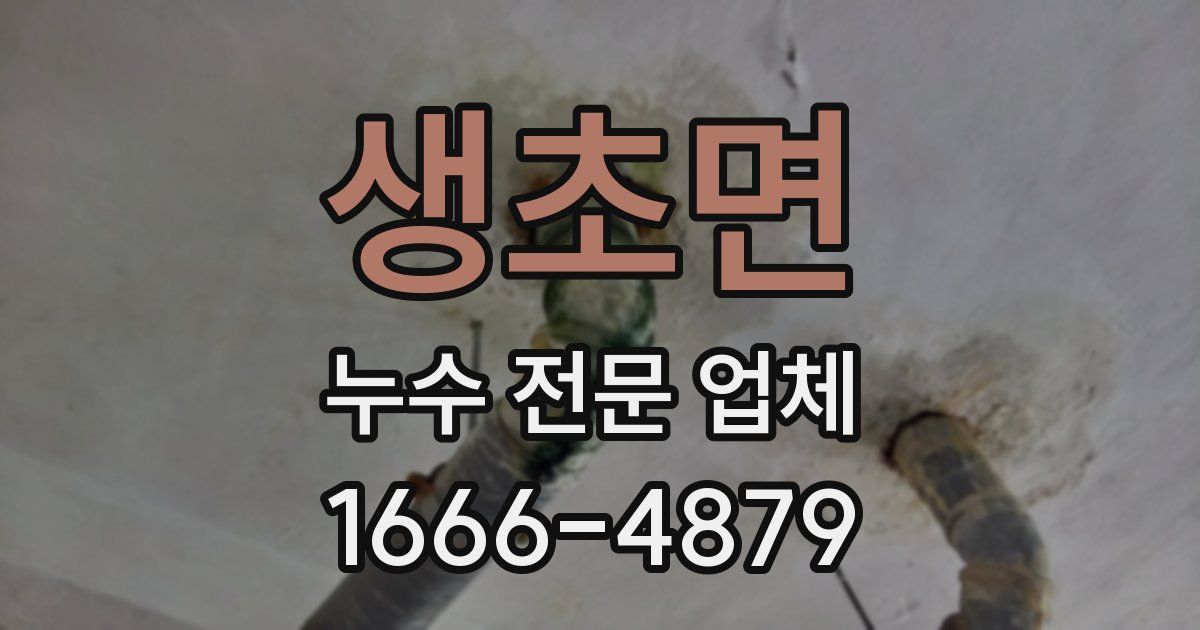 생초면 누수 전문 업체