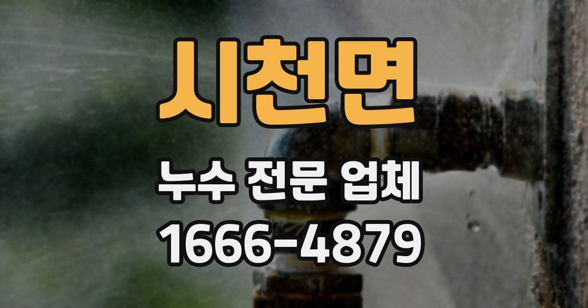 시천면 누수 전문 업체