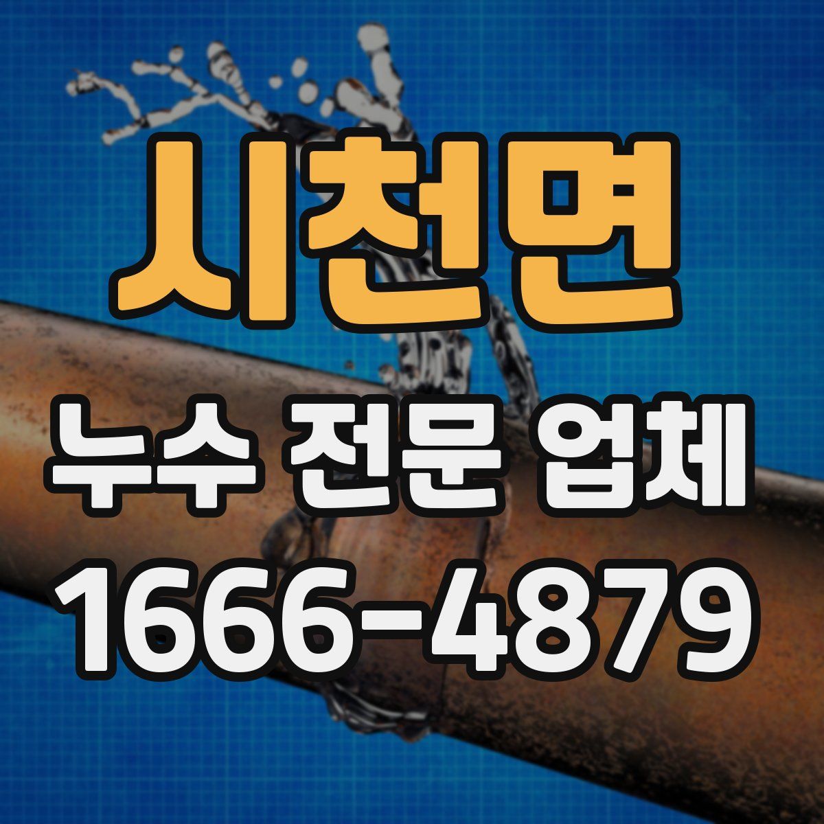 시천면 누수 전문 업체