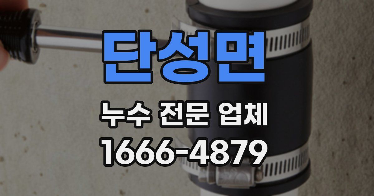 단성면 누수 전문 업체