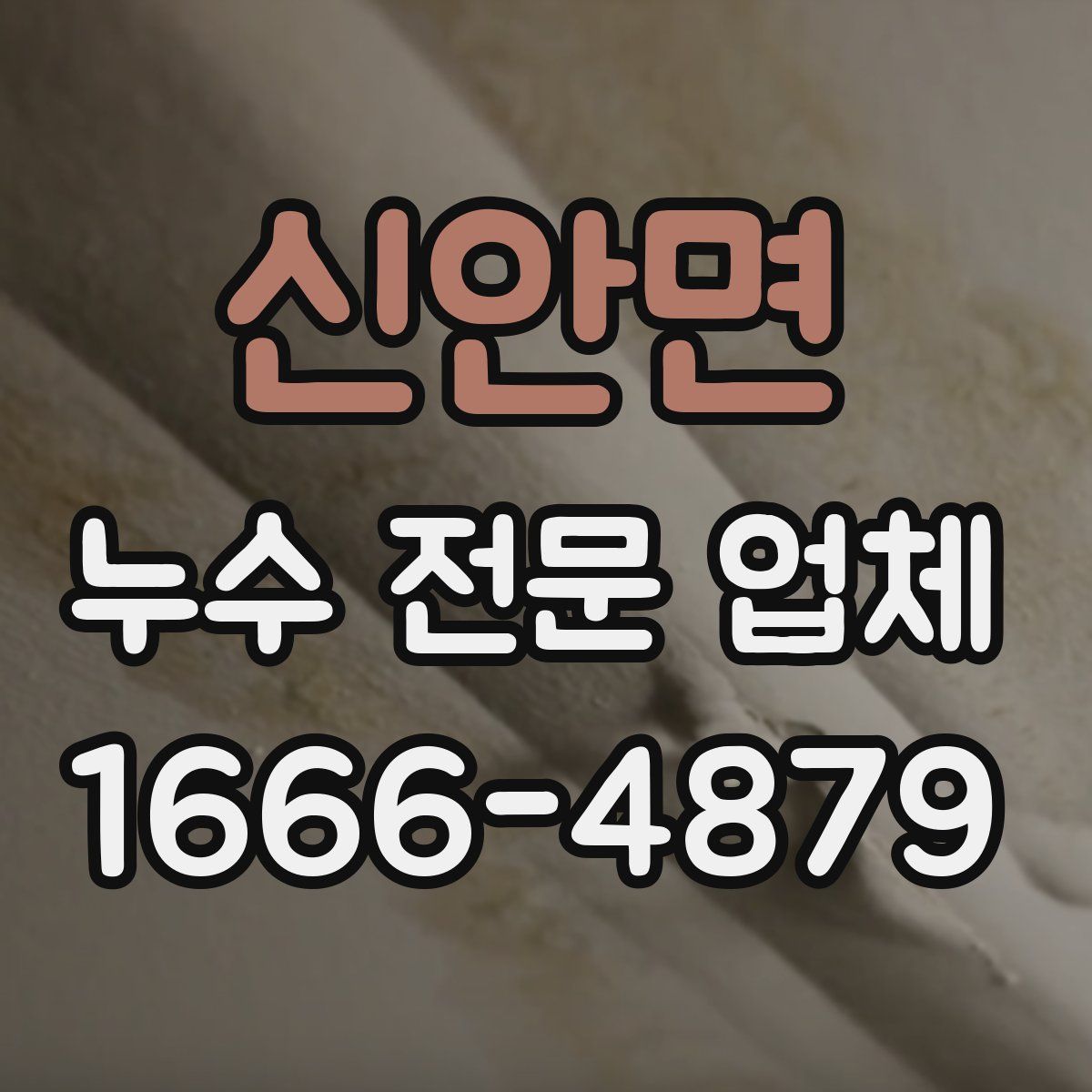 신안면 누수 전문 업체