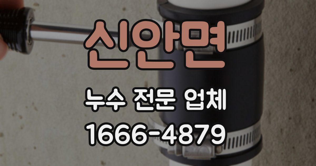 신안면 누수 전문 업체