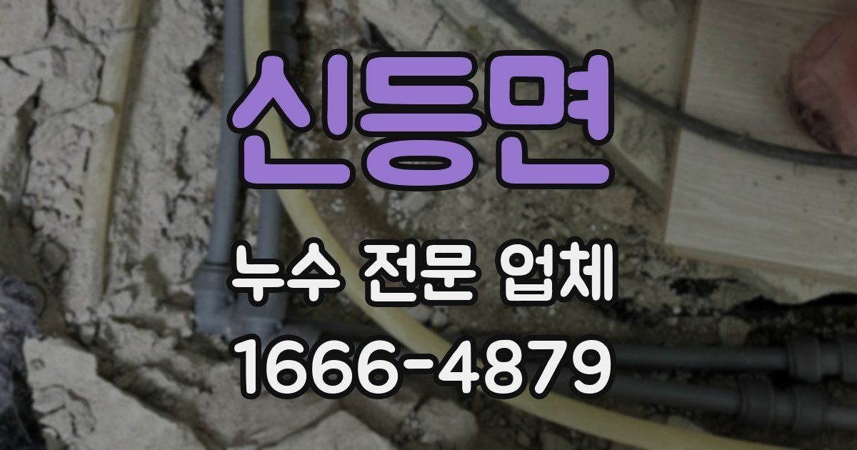 신등면 누수 전문 업체