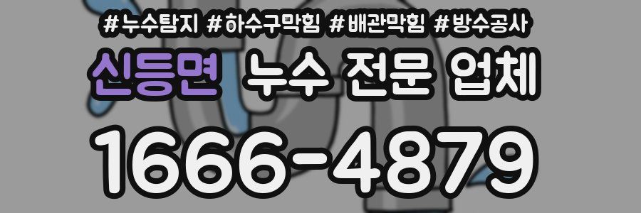 신등면 누수 전문 업체