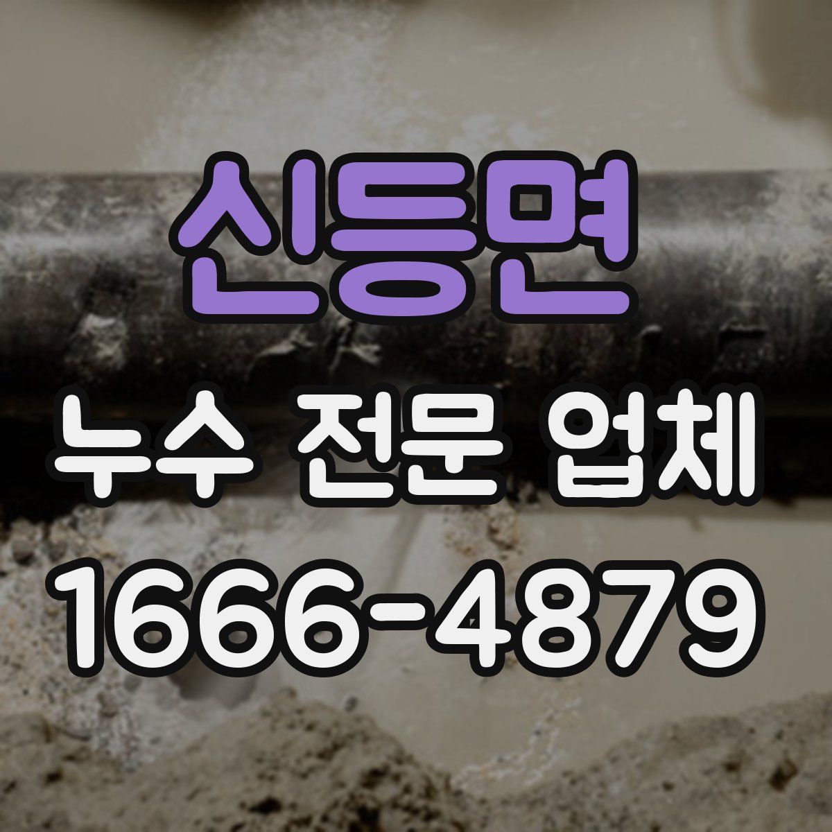 신등면 누수 전문 업체