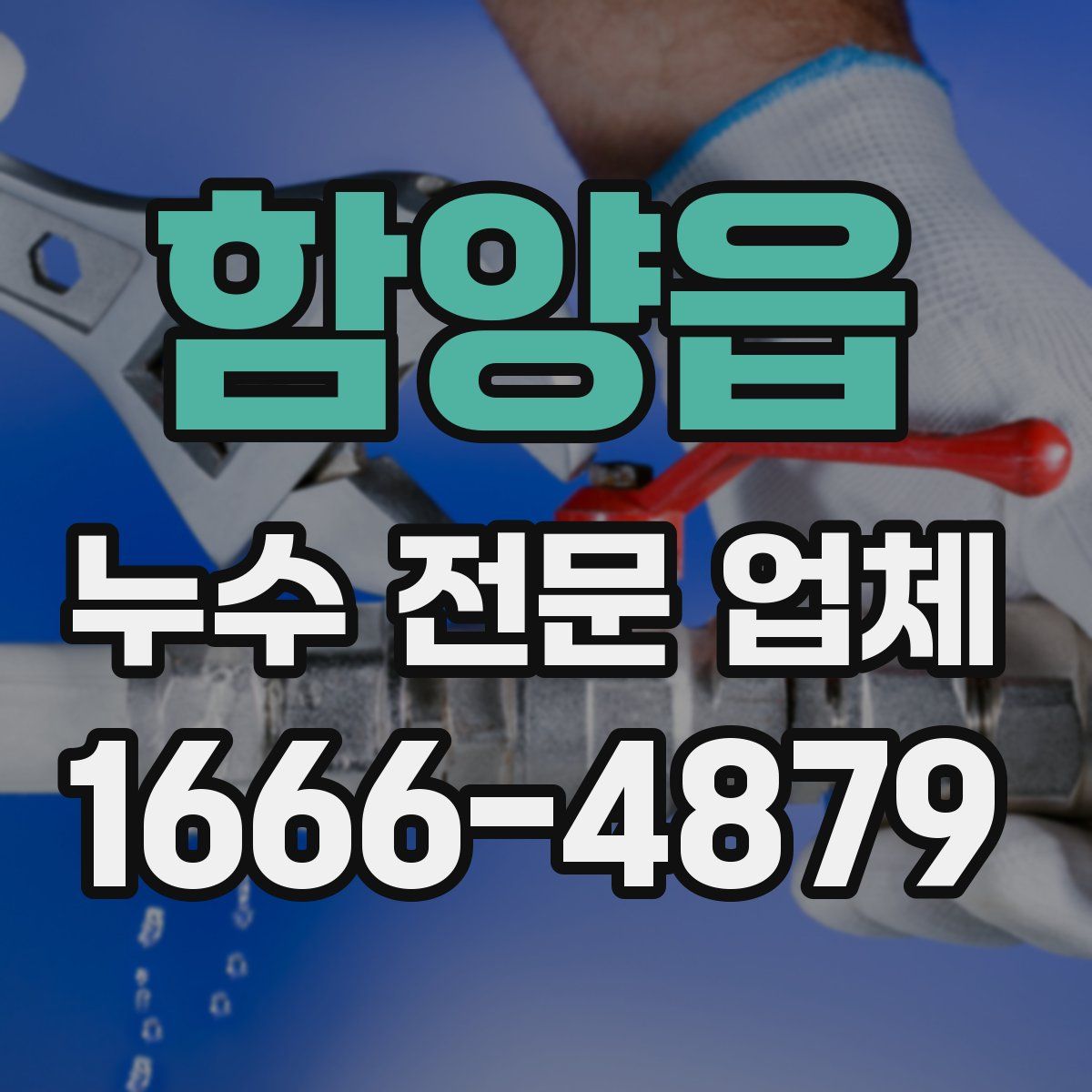 함양읍 누수 전문 업체