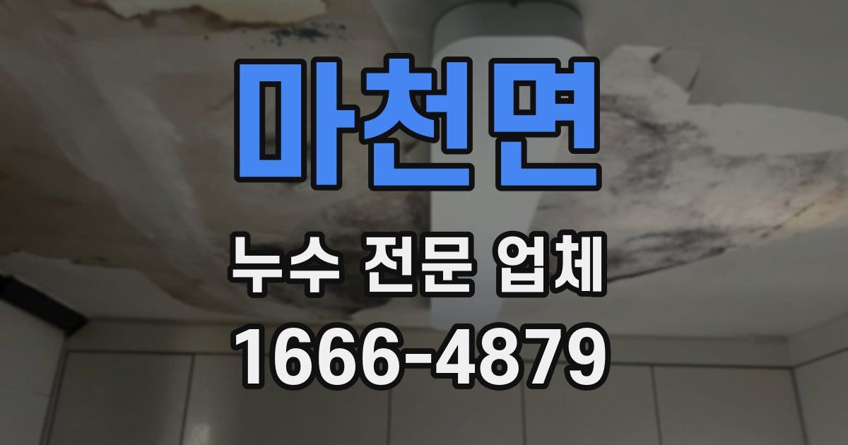 마천면 누수 전문 업체