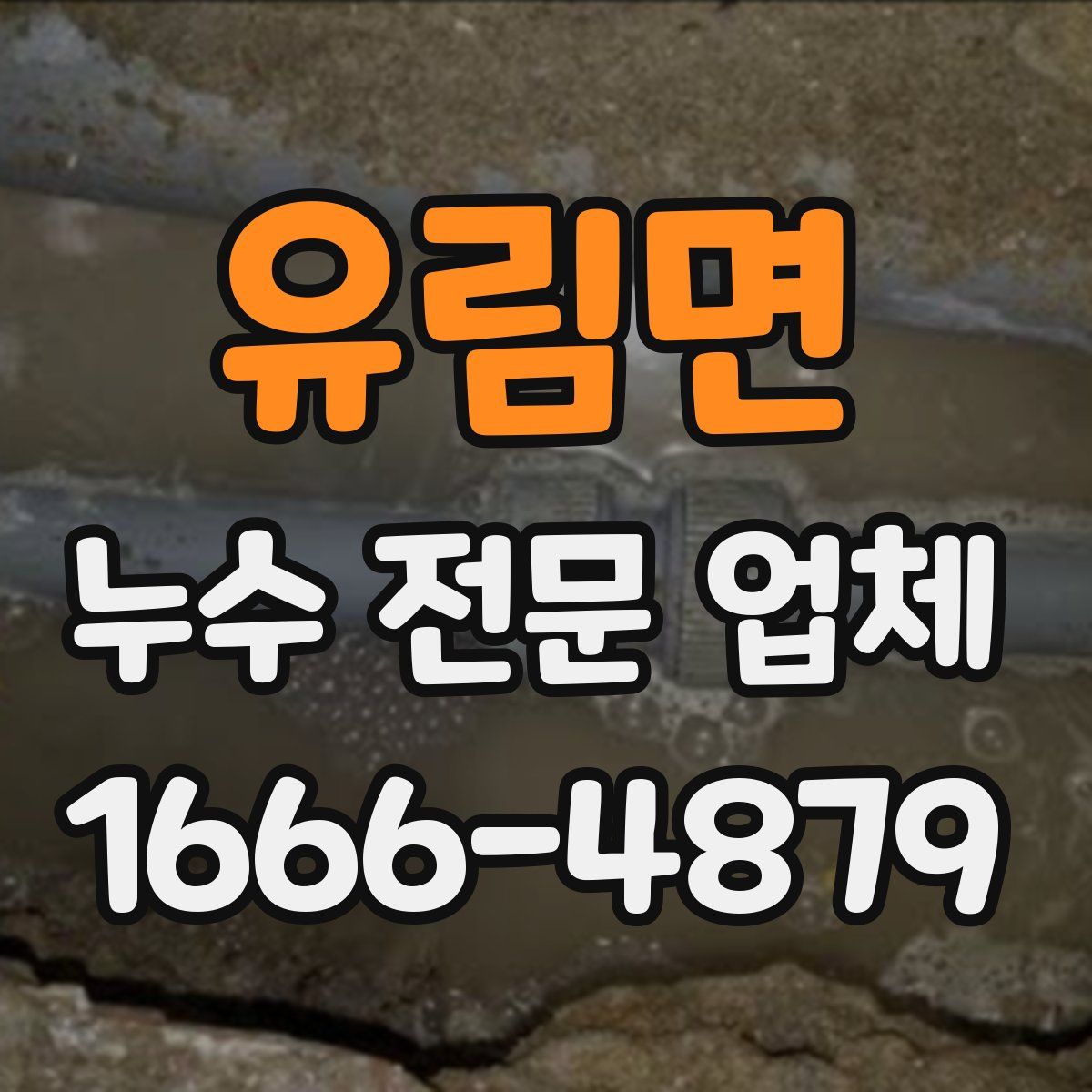 유림면 누수 전문 업체