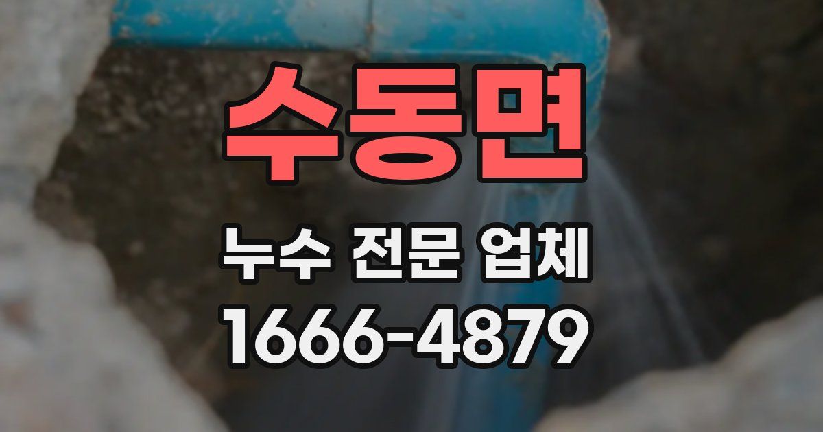 수동면 누수 전문 업체