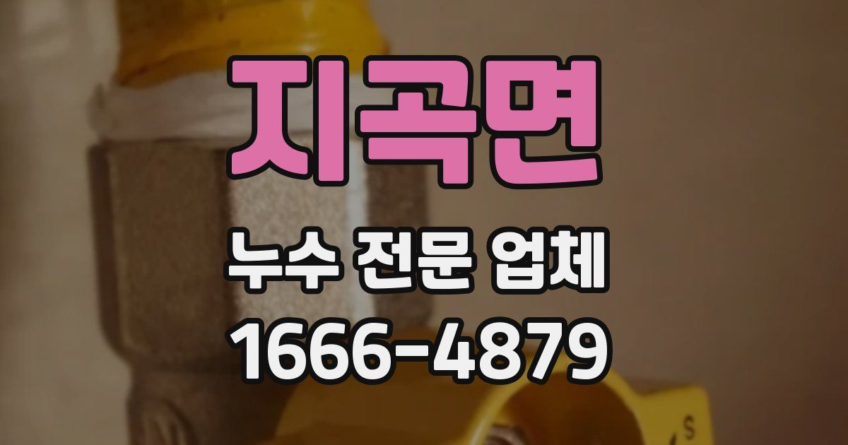 지곡면 누수 전문 업체