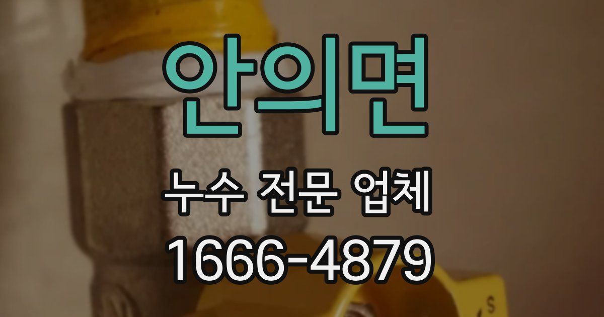 안의면 누수 전문 업체