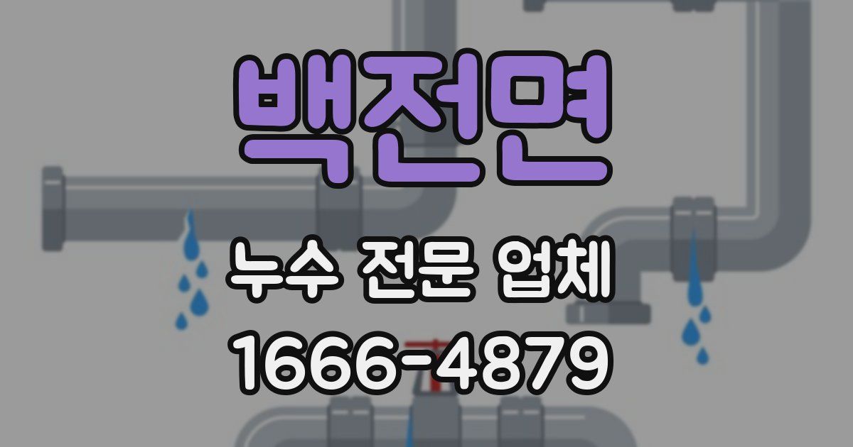 백전면 누수 전문 업체