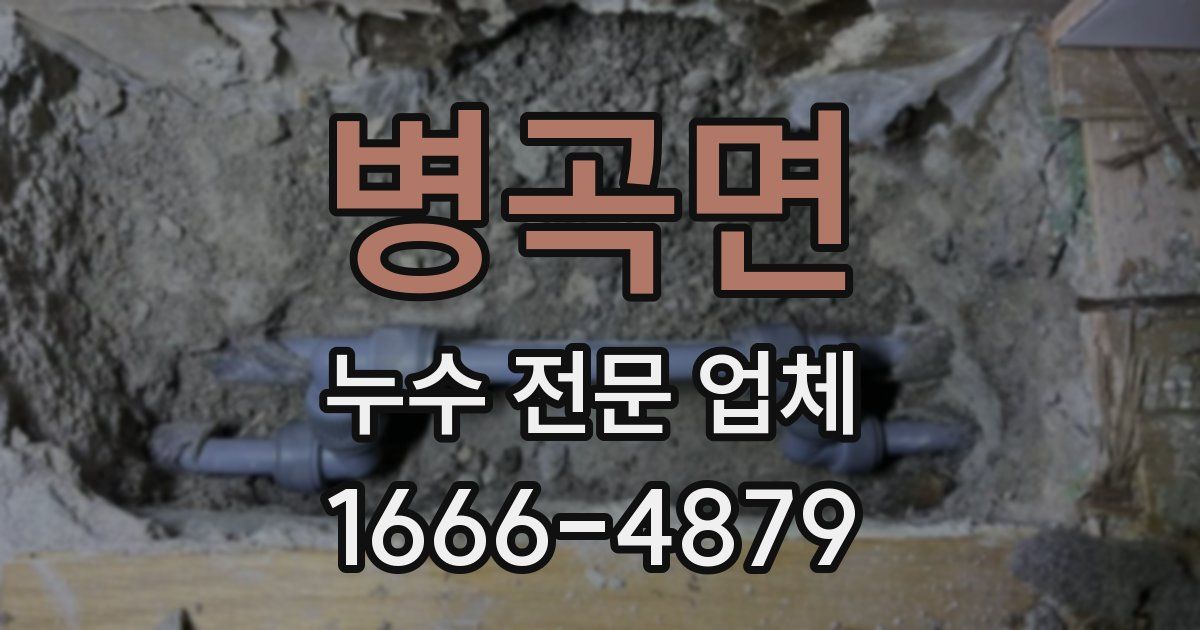 병곡면 누수 전문 업체
