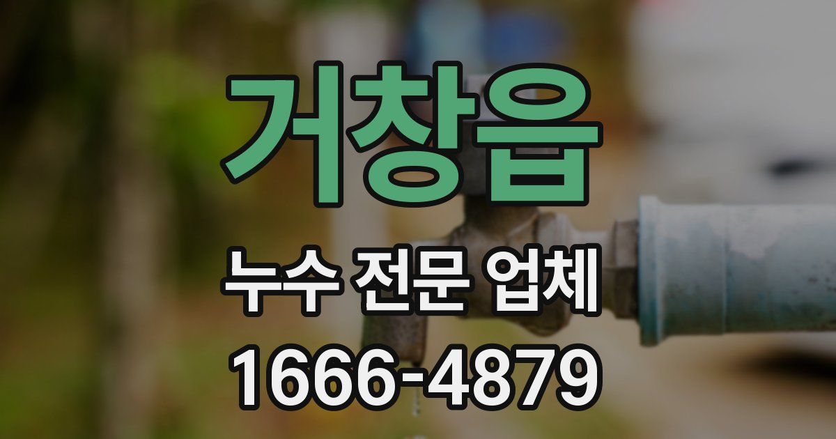 거창읍 누수 전문 업체