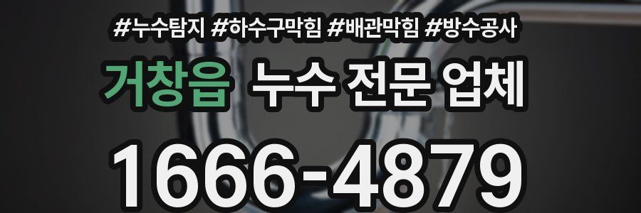 거창읍 누수 전문 업체