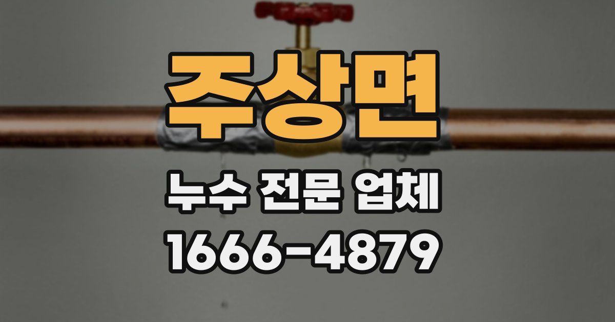 주상면 누수 전문 업체