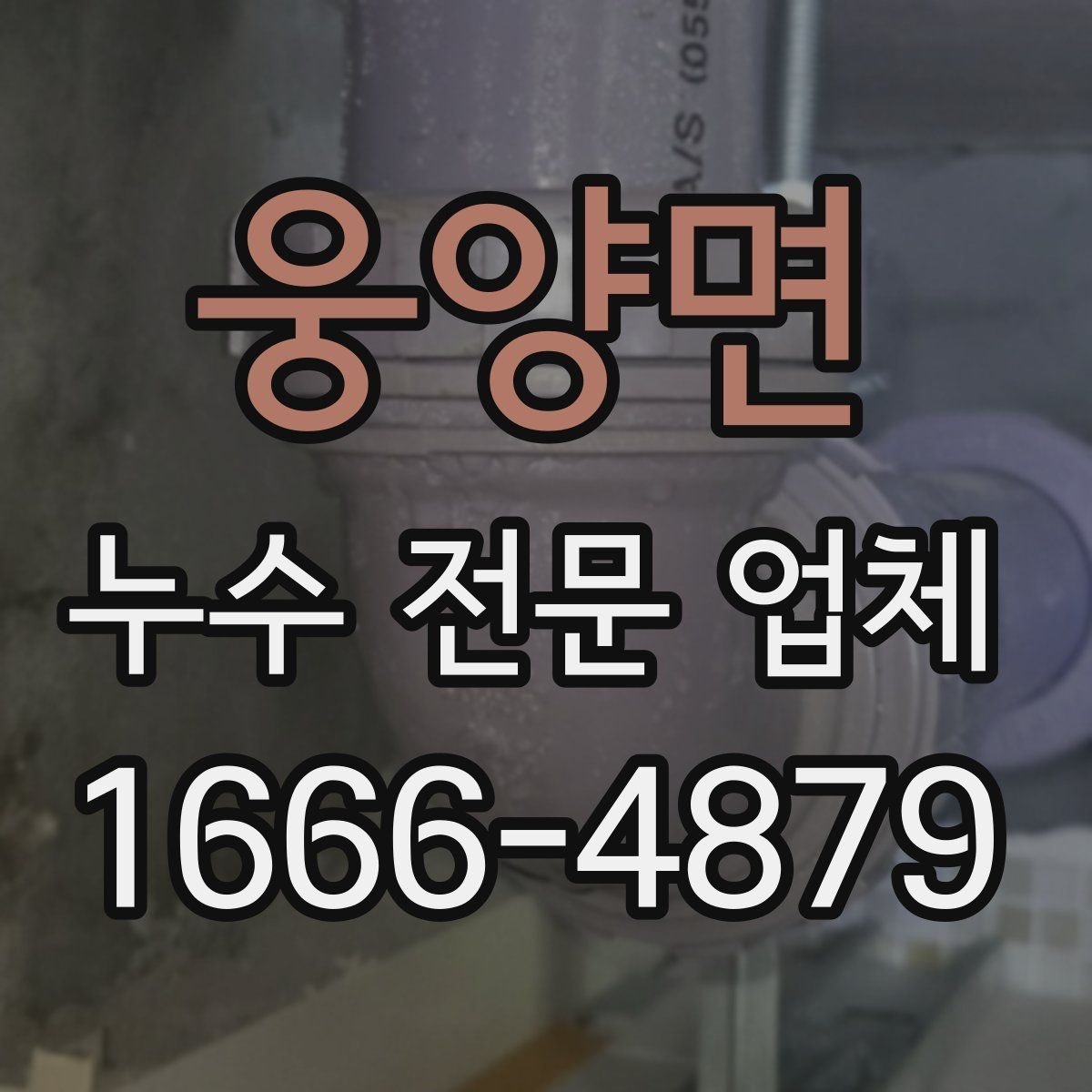 웅양면 누수 전문 업체
